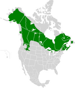 Falcipennis canadensis map2.svg
