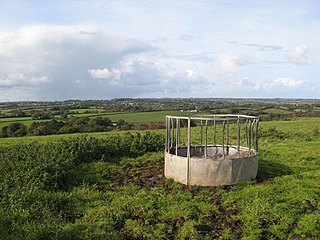 <span class="mw-page-title-main">Berw Fault</span> Geologic fault in north-west Wales