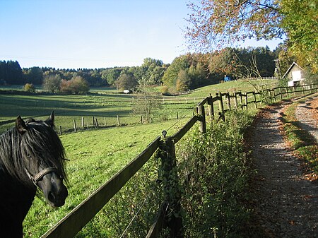 Felsenbeck Radevormwald