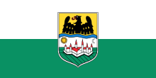 Flag of Danube Swabians.svg