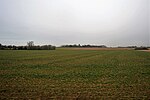 Thumbnail for File:Flat cropland - geograph.org.uk - 5769880.jpg