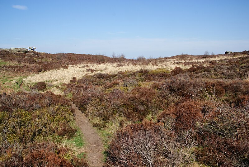 File:Footpath on Brimham Moor - geograph.org.uk - 3460445.jpg