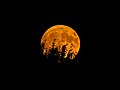 Full Harvest Moon in WA 9-24-18 - Flickr - Landscapes in The West.jpg