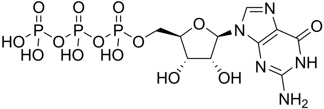 Guanozin-trifosfat