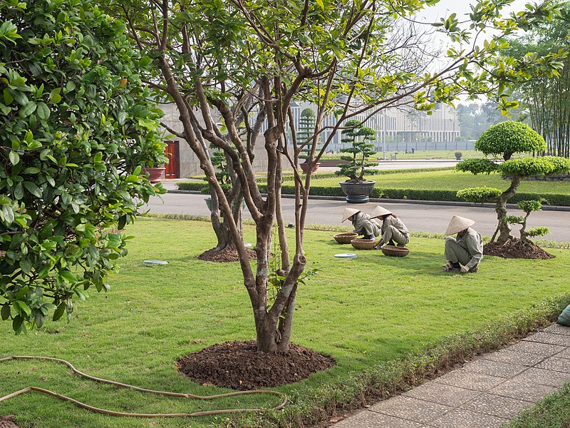 File:Gardeners in the Ho Chi Minh Mausoleum - Vietnam (15860257192).jpg