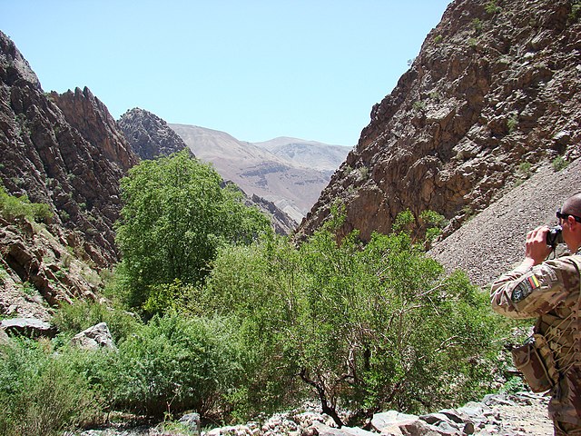 Image: Ghor Valley (4324694935)