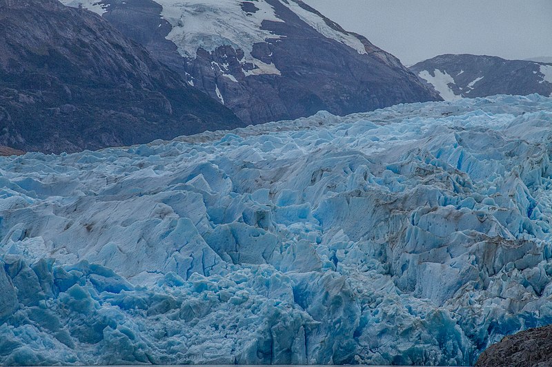 File:Glaciar desde una cima, Glaciar Grey.jpg