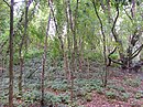 Burial mound Birkenhöhe (Hamburg-Lemsahl-Mellingstedt) .jpg