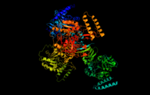 HUDP-glukosa pyrophosphorylase pymol.png