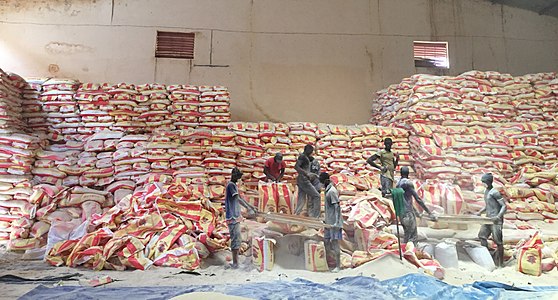 In the warehouses of Dakar rice and other food merchandise is subject to damage, wetting, spoiling or infestations and can be manually reconditioned and rebagged (pictured here) before being sold for human consumption.