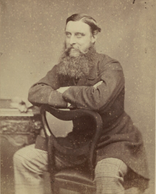 <span class="mw-page-title-main">Henry Arthur Herbert (1840–1901)</span> Irish politician