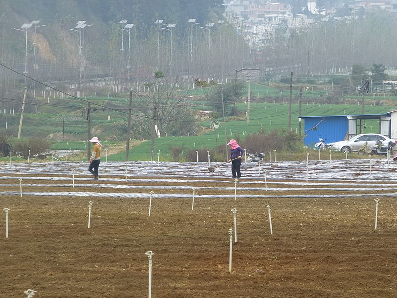 File:Hongta District - rural landscape off Hwy G213 - P1350725.JPG