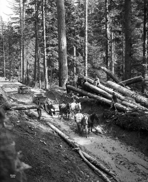 File:Horse teams pull an automobile from a mudhole at Snoqualmie Pass , May 1915 (MOHAI 5433).jpg