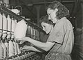 Textilné pracovníčky v štátnej továrni, 50. roky