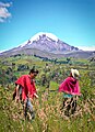 Indigenous Chimborazo Guarand Ecuador