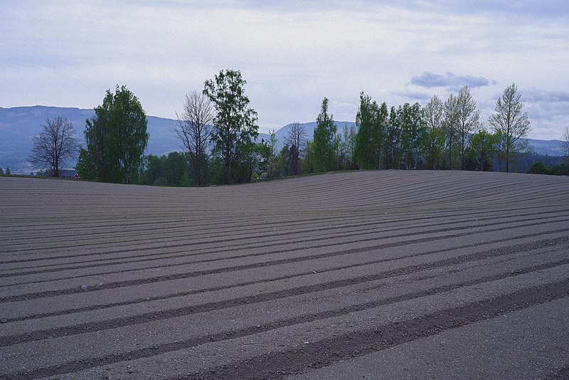 File:Innlandet 2022 mai vår 19.jpg