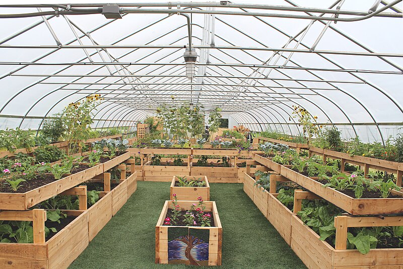 File:Interior of a Hoop House on the Farm at Saint Joe's, Superior Township, Michigan-2.JPG