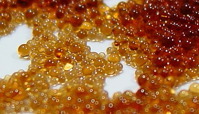 Ion-exchange resin beads