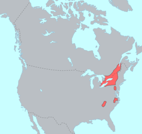 Ирокезки езици