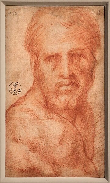 File:Jacopo da pontormo, autoritratto, 1519-20 ca. (gdsu).jpg