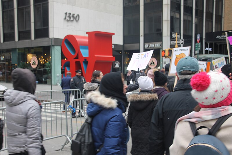 File:January 2019 Women's Alliance march in NYC (39840765133).jpg