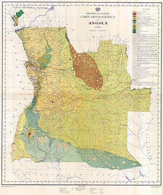 <span class="mw-page-title-main">John Gossweiler</span> Angola state botanist (1873–1952)