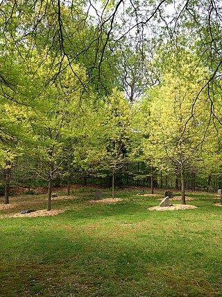 <span class="mw-page-title-main">Joseph Beuys Sculpture Park</span> University of Maryland Baltimore County park