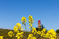 * Nomination The new lighthouse at Cape Arkona on Rügen. In the foreground a field of rapeseed. --Code 06:04, 16 November 2015 (UTC) * Promotion Good quality.--Famberhorst 06:38, 16 November 2015 (UTC)