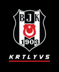 Kartal Yuvası için küçük resim