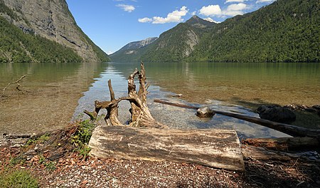 Koenigssee - Hirschau Peninsula 02.jpg