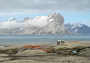 Goshamnas līcis fjorda dienvidu pusē