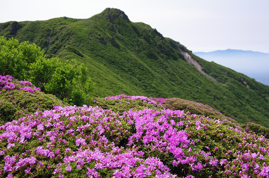 Aso-Kujū-Nationalpark