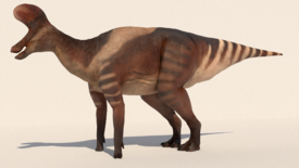 Reconstituirea Lambeosaurus magnicristatus