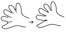 Standard Event System character depiction L25. Membranes between the fingers are completely gone (V12s).png