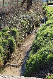 La Crise dans la traversé du village à 1 km de sa source.