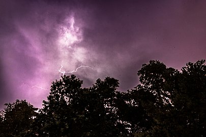 Lightning over the trees in Tuntorp