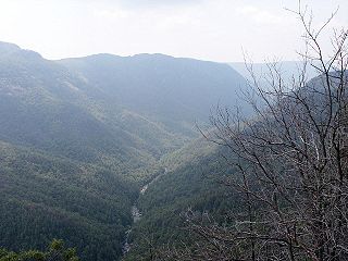 Linville Gorge Wilderness