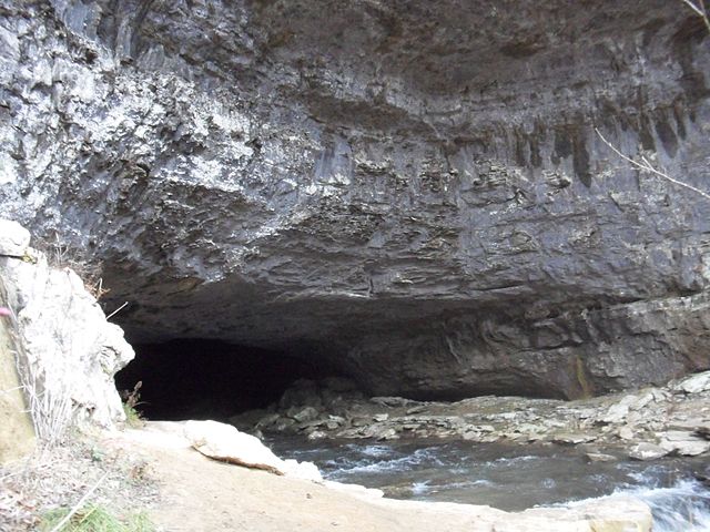 Lost Cove Cave