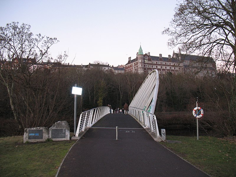 File:Mardyke Brige, Cork, Music School in the Background - panoramio.jpg