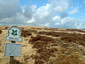 Huddersfield - Marsden Moor boş bozkırı