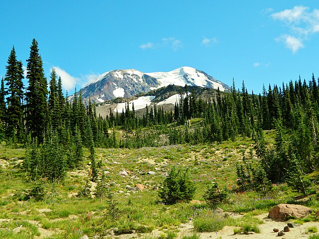 Meadows at Mount Adams Wilderness