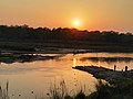Mesmerizing Chitwan National Park 2.jpg