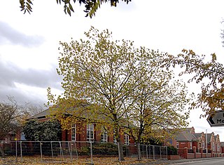 <span class="mw-page-title-main">Middlewich High School</span> Academy in Middlewich, Cheshire, England