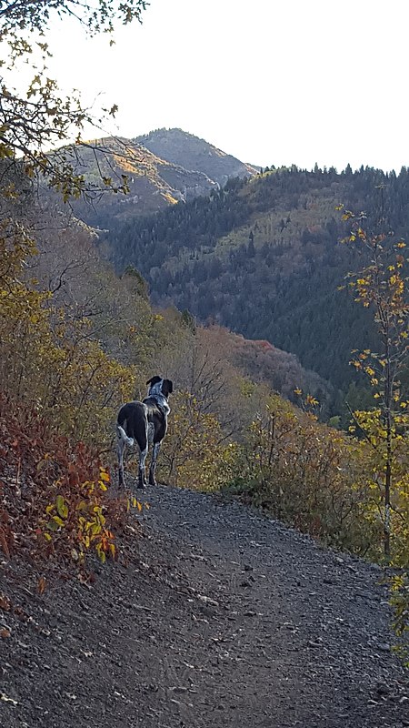 Millcreek Canyon