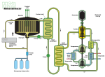 Thumbnail for Reaktor hlađen rastaljenom soli