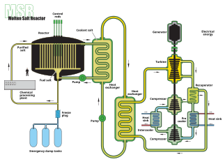 Molten salt reactor class of nuclear fission reactors with molten salt as the primary coolant or the fuel