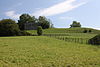 Mont Vully Mont Vully Helvetian Fortification Aug 2011.jpg