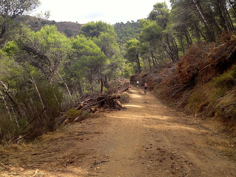 File:Montes de Málaga 12.jpg