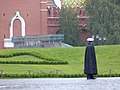 Moscow Kremlin, Russia, 2016 07.jpg