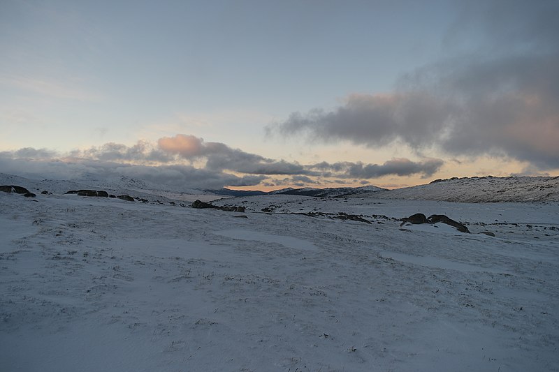 File:Mount Kosciuszko Summit walk, Kosciuszko National Park 21.jpg